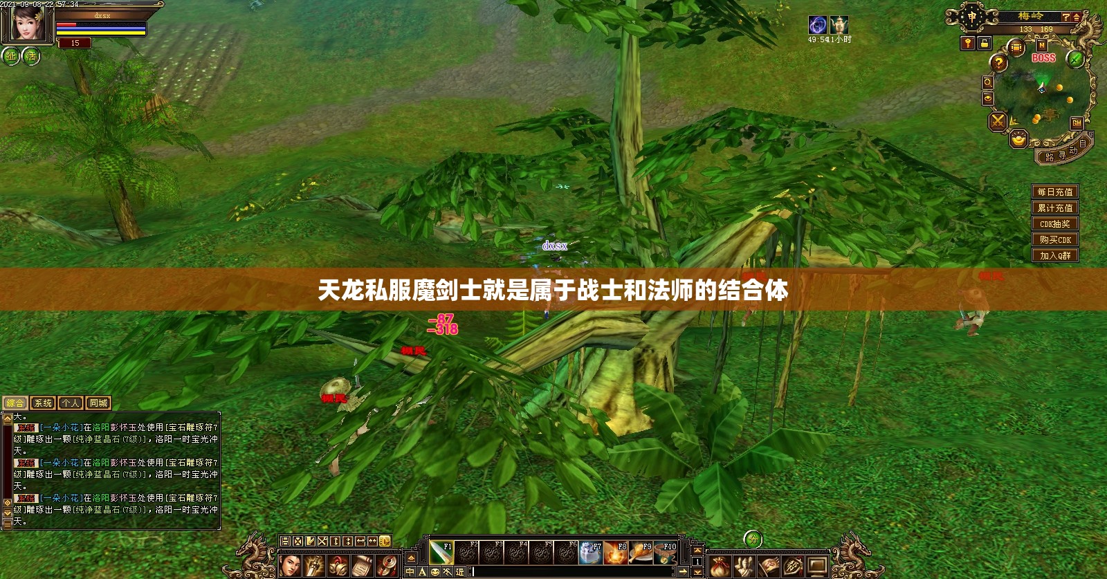 天龙私服魔剑士就是属于战士和法师的结合体 天龙私服魔剑士就是属于战士和法师的结合体