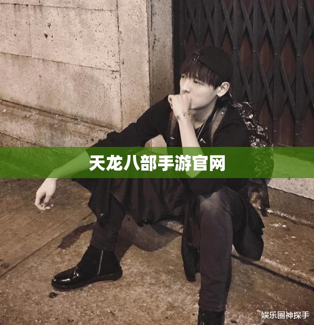 天龙八部私服官网 天龙八部私服官网