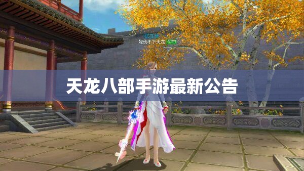 天龙八部私服最新公告