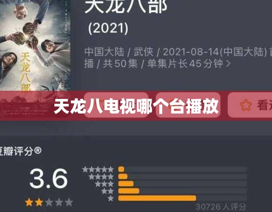 天龙八电视哪个台播放