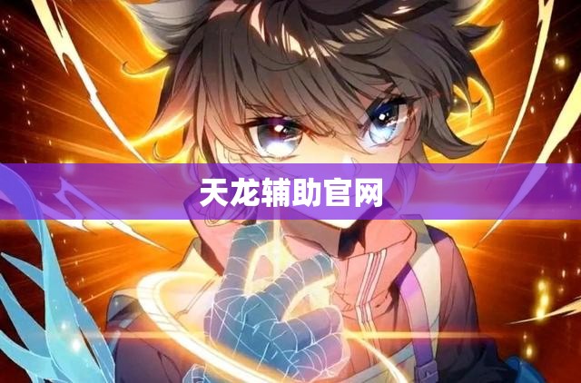 天龙辅助官网 天龙辅助官网