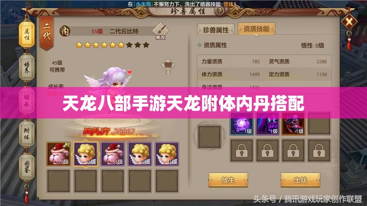 天龙八部私服天龙附体内丹搭配 天龙八部私服天龙附体内丹搭配