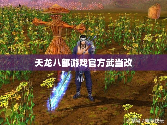 天龙八部游戏官方武当改