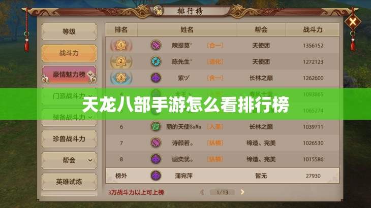 天龙八部私服怎么看排行榜