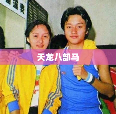 天龙八部马 天龙八部马
