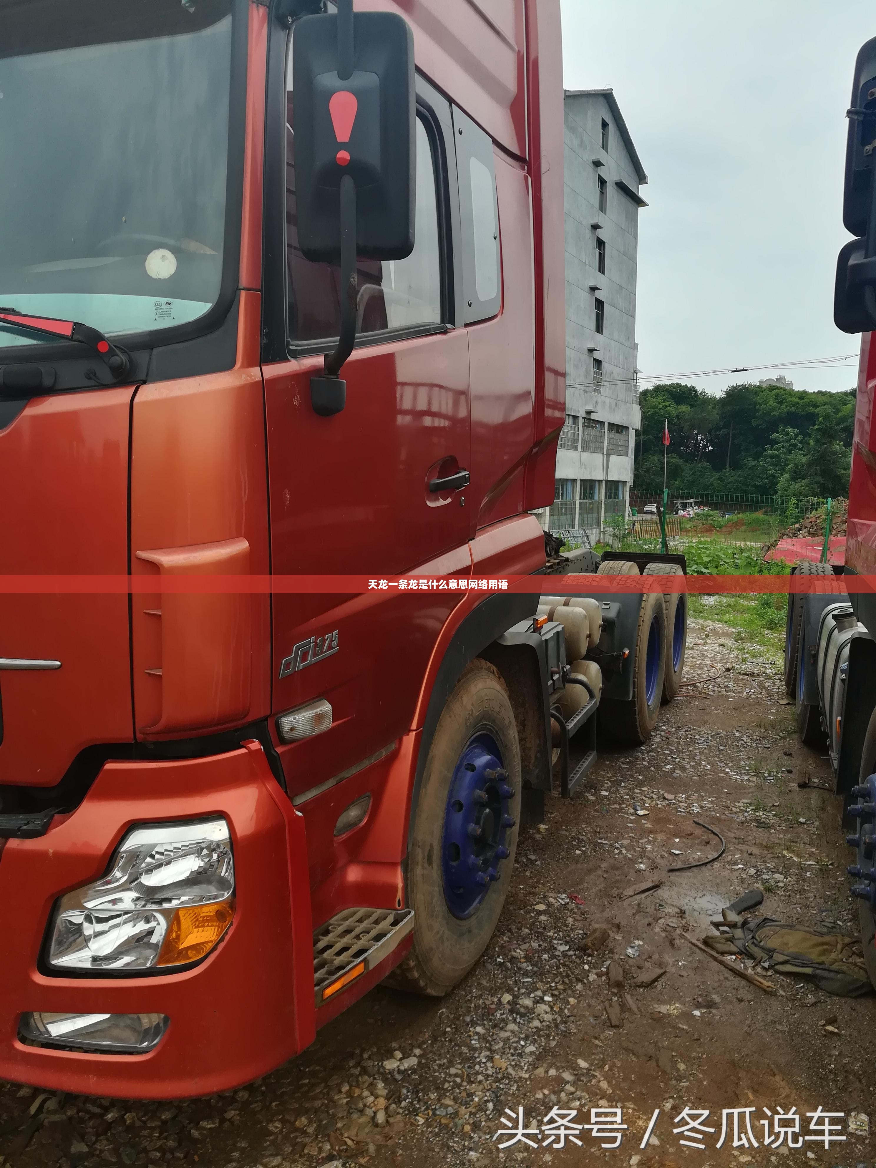 天龙一条龙是什么意思网络用语 天龙一条龙是什么意思网络用语