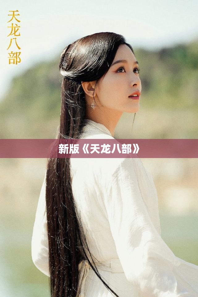 新版《天龙八部》 新版《天龙八部》
