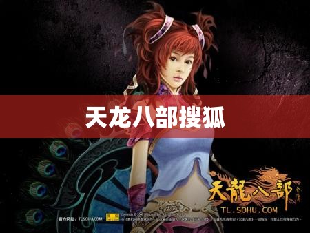 天龙八部搜狐 天龙八部搜狐