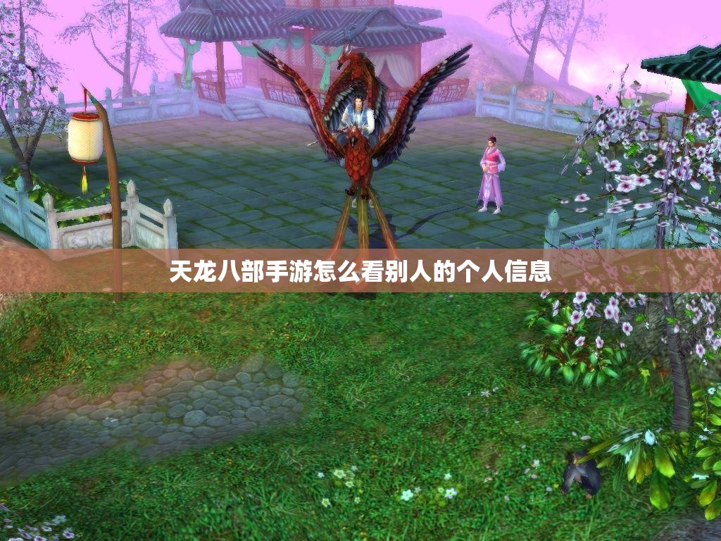 天龙八部私服怎么看别人的个人信息 天龙八部私服怎么看别人的个人信息