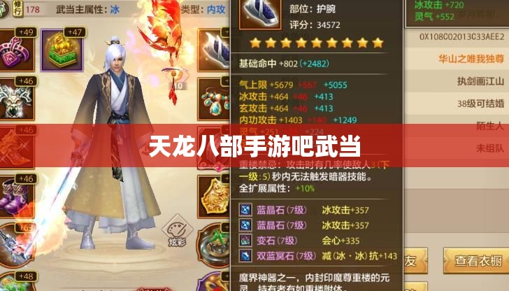 天龙八部私服吧武当 天龙八部私服吧武当