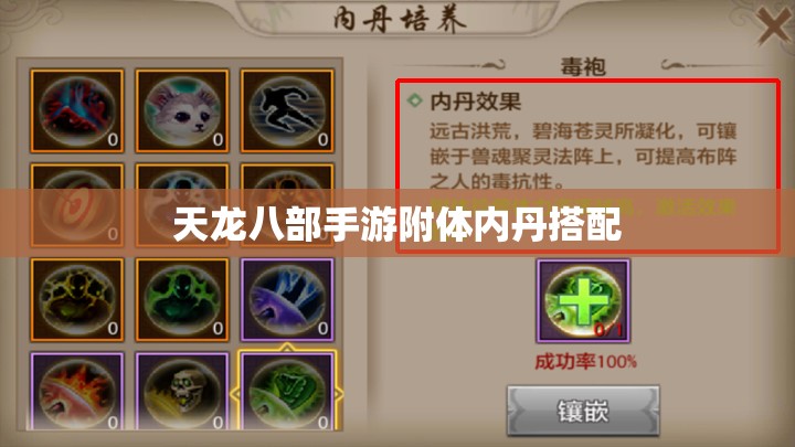 天龙八部私服附体内丹搭配 天龙八部私服附体内丹搭配