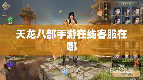 天龙八部私服在线客服在哪 天龙八部私服在线客服在哪