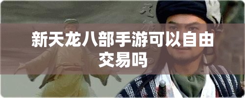 新天龙八部私服可以自由交易吗