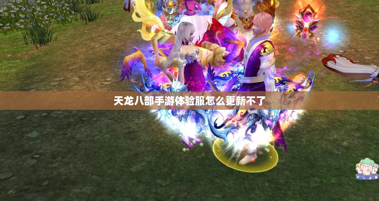 天龙八部私服体验服怎么更新不了