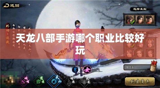 天龙八部私服哪个职业比较好玩