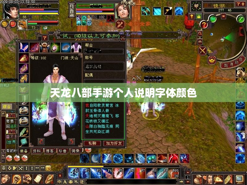 天龙八部私服个人说明字体颜色