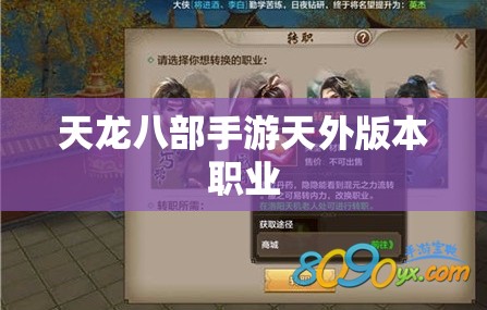 天龙八部私服天外版本职业