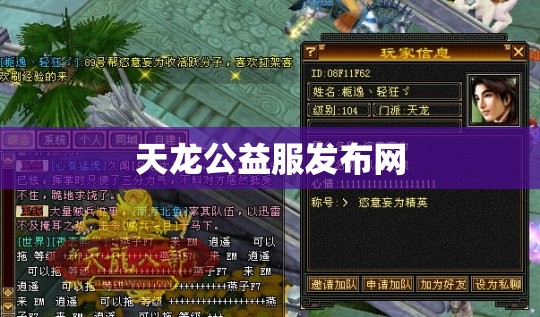 天龙公益服发布网