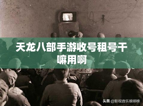 天龙八部私服收号租号干嘛用啊