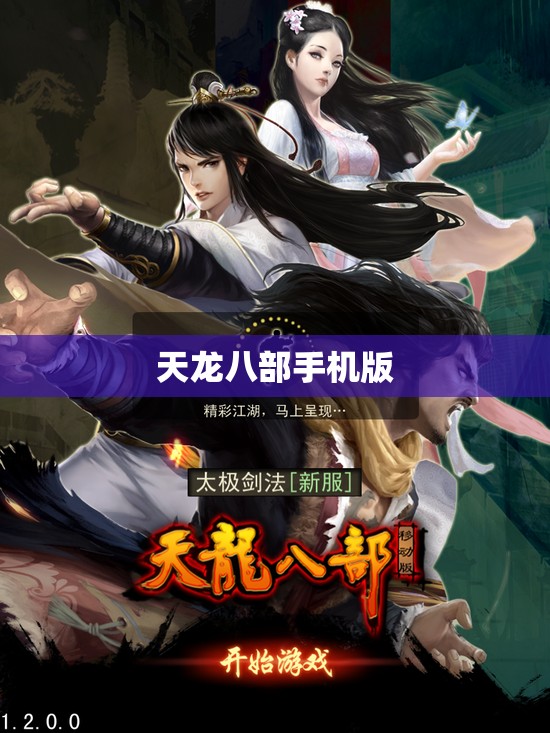 天龙八部手机版 天龙八部手机版