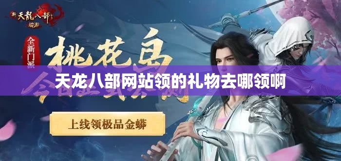 天龙八部网站领的礼物去哪领啊 天龙八部网站领的礼物去哪领啊