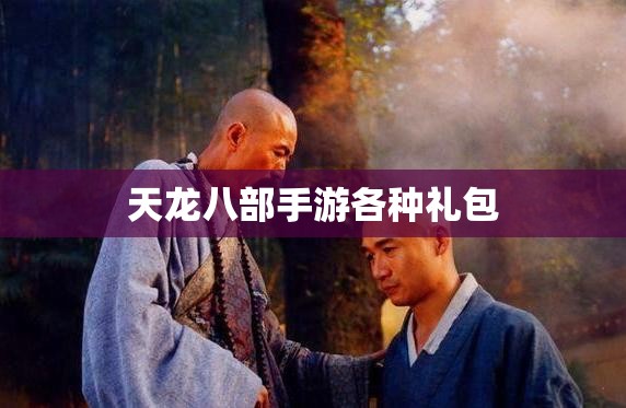 天龙八部私服各种礼包