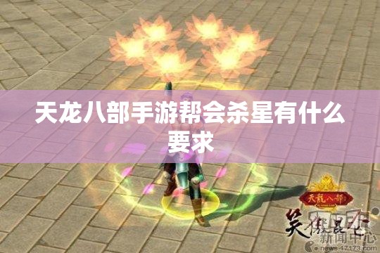 天龙八部私服帮会杀星有什么要求 天龙八部私服帮会杀星有什么要求