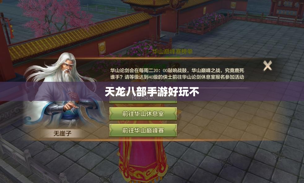 天龙八部私服好玩不