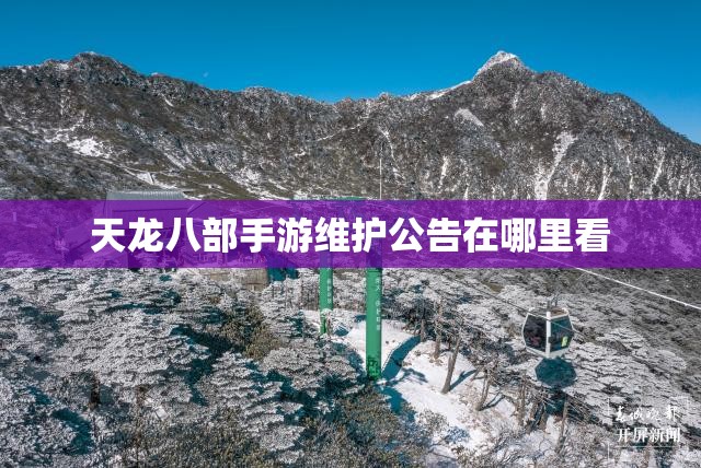 天龙八部私服维护公告在哪里看