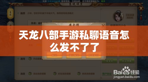 天龙八部私服私聊语音怎么发不了了 天龙八部私服私聊语音怎么发不了了