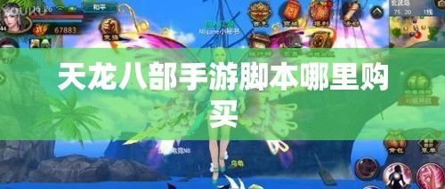 天龙八部私服脚本哪里购买