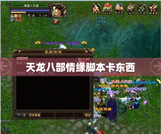 天龙八部情缘脚本卡东西