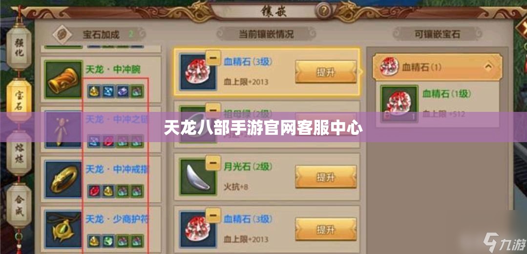 天龙八部私服官网客服中心