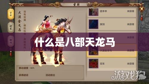 什么是八部天龙马 什么是八部天龙马