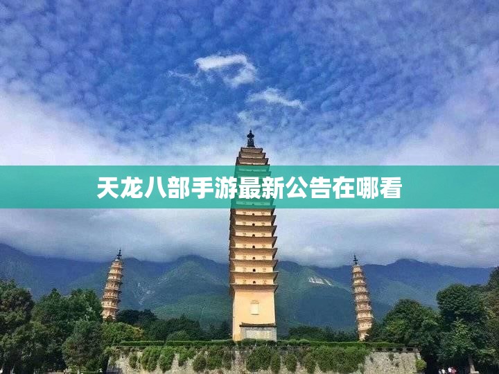 天龙八部私服最新公告在哪看 天龙八部私服最新公告在哪看