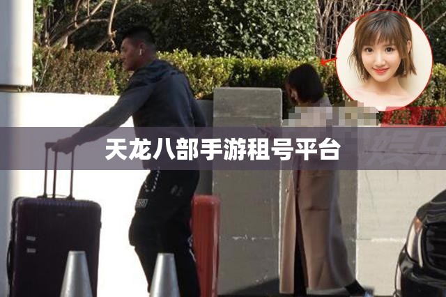 天龙八部私服租号平台