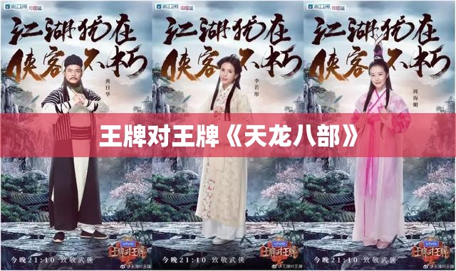 王牌对王牌《天龙八部》 王牌对王牌《天龙八部》