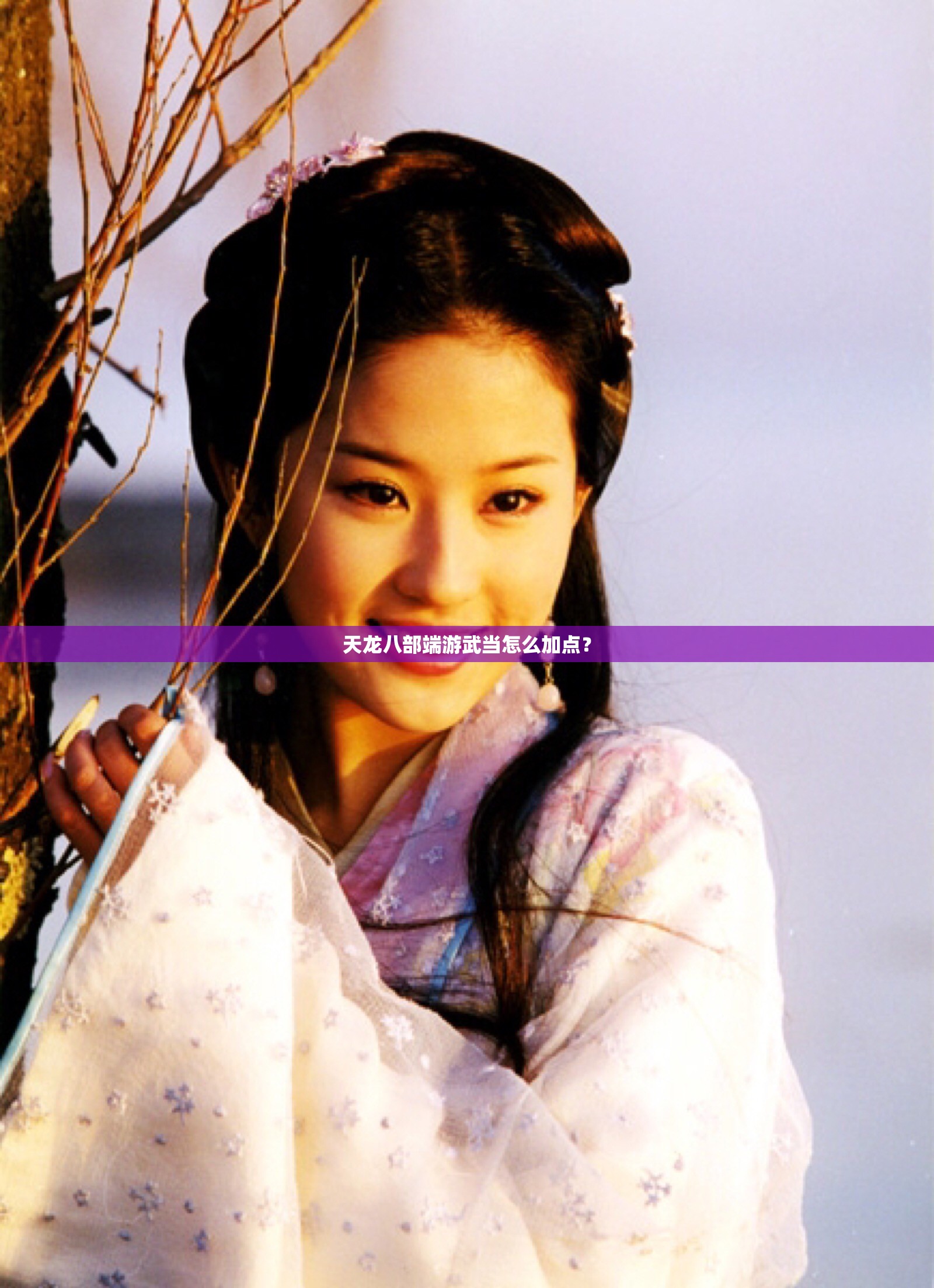 天龙八部端游武当怎么加点? 天龙八部端游武当怎么加点?