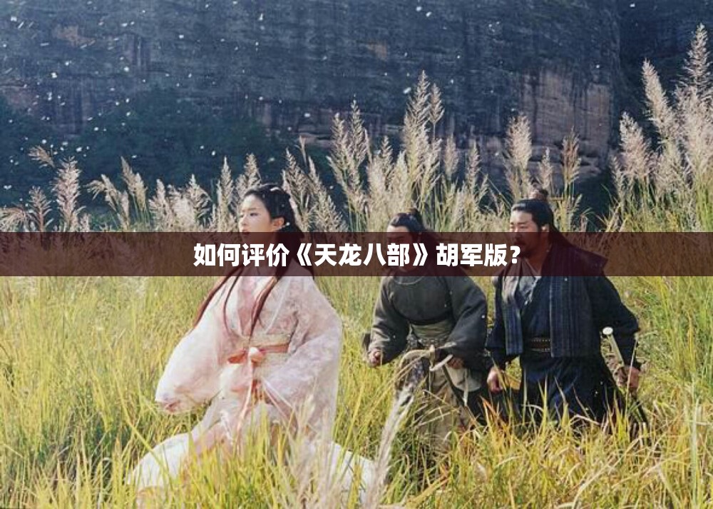 如何评价《天龙八部》胡军版? 如何评价《天龙八部》胡军版?