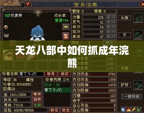 天龙八部中如何抓成年浣熊 天龙八部中如何抓成年浣熊