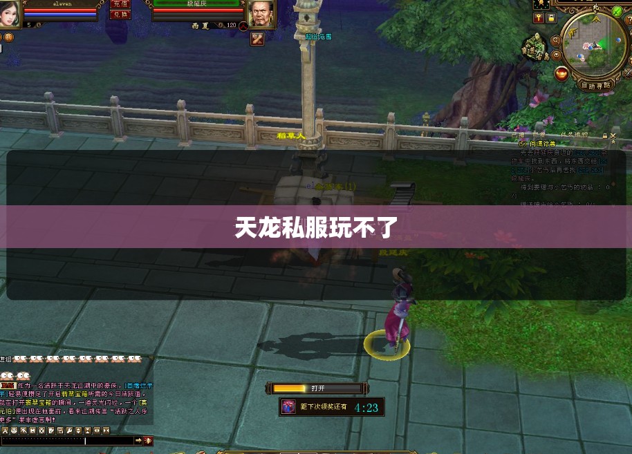 天龙私服玩不了 天龙私服玩不了