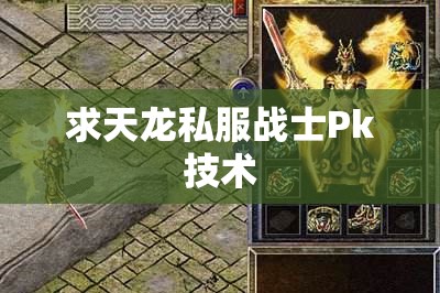 求天龙私服战士Pk技术 求天龙私服战士Pk技术