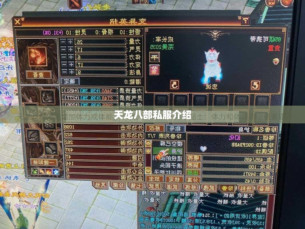 天龙八部私服介绍 天龙八部私服介绍