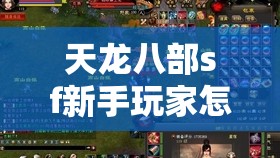 天龙八部sf新手玩家怎样进行角色的选择 天龙八部sf新手玩家怎样进行角色的选择