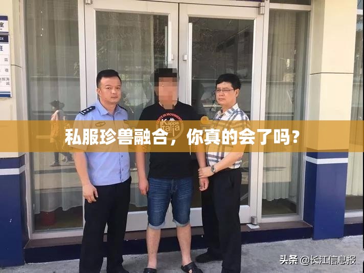 私服珍兽融合,你真的会了吗? 私服珍兽融合,你真的会了吗?