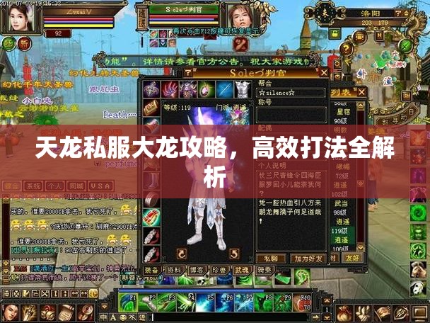 天龙私服大龙攻略,高效打法全解析 天龙私服大龙攻略,高效打法全解析