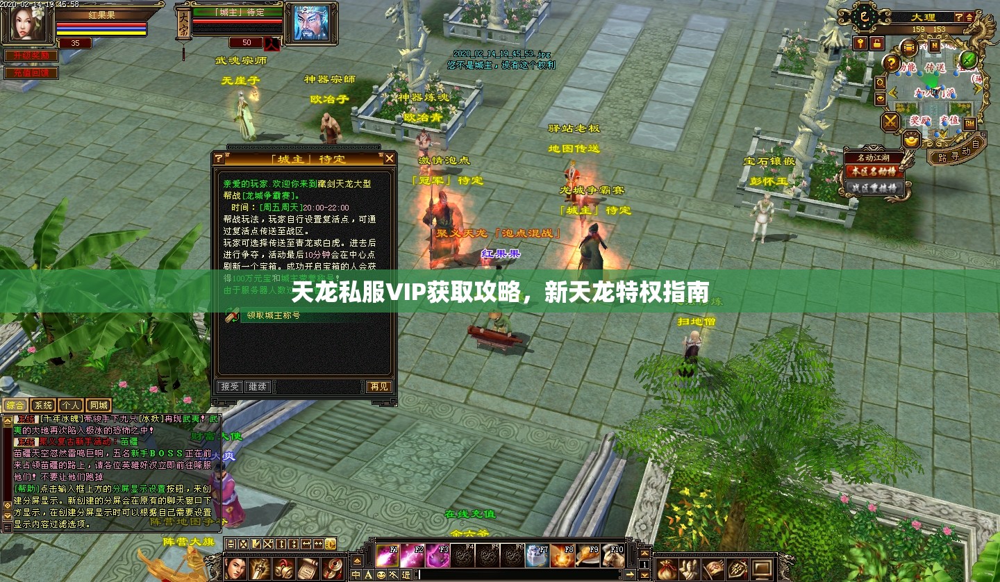 天龙私服VIP获取攻略,新天龙特权指南 天龙私服VIP获取攻略,新天龙特权指南