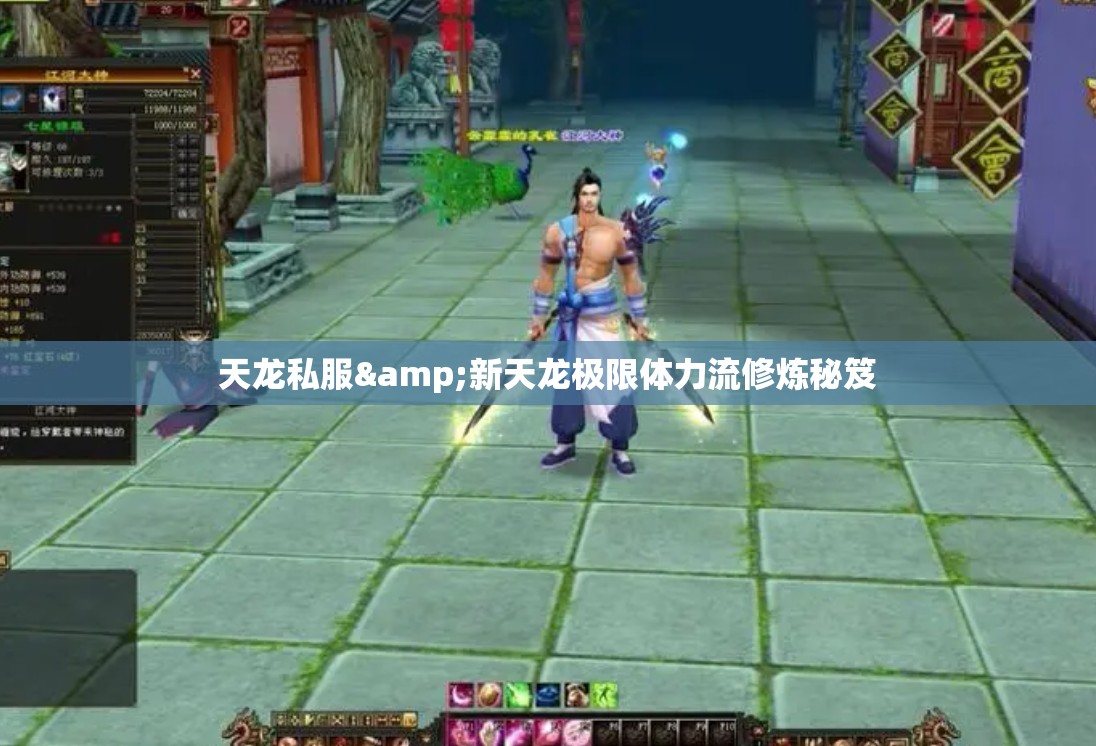 天龙私服&新天龙极限体力流修炼秘笈 天龙私服&新天龙极限体力流修炼秘笈