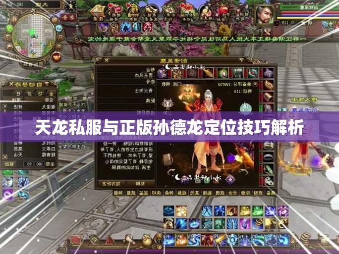 天龙私服与正版孙德龙定位技巧解析 天龙私服与正版孙德龙定位技巧解析