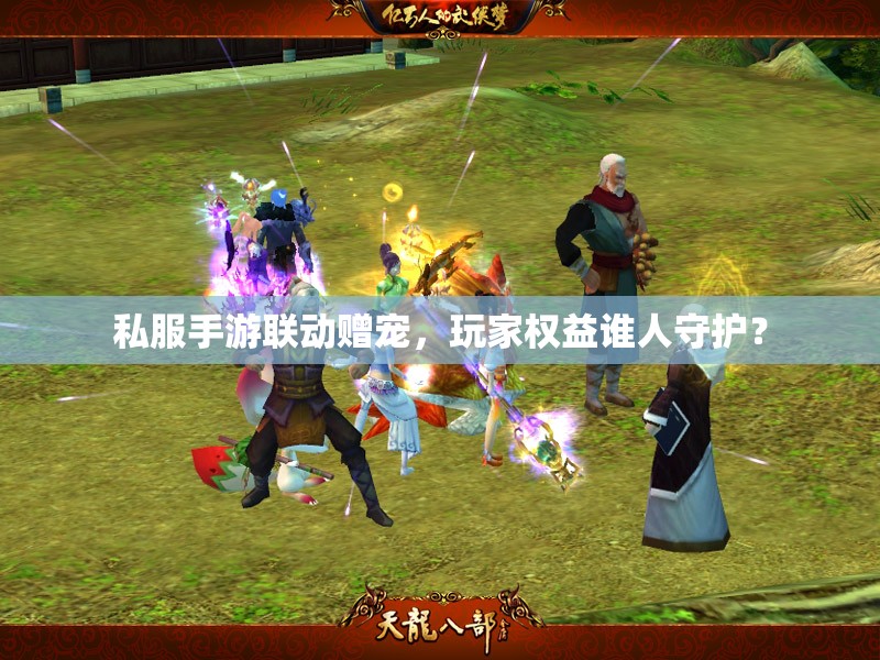 私服手游联动赠宠,玩家权益谁人守护? 私服手游联动赠宠,玩家权益谁人守护?